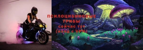 прущая мука Алзамай