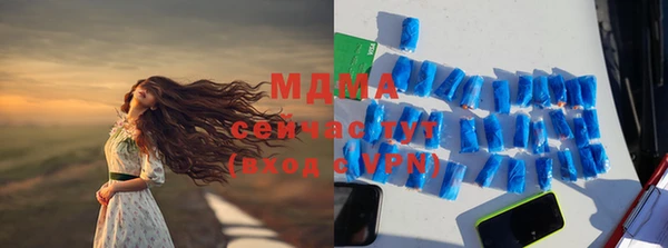 крисы Ельня