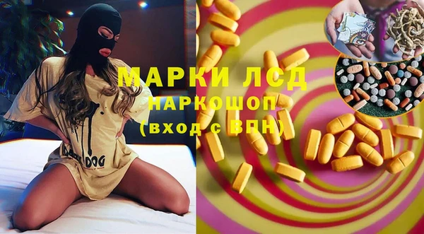 ПСИЛОЦИБИНОВЫЕ ГРИБЫ Козловка