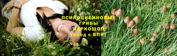 ПСИЛОЦИБИНОВЫЕ ГРИБЫ Козловка