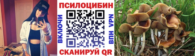 Псилоцибиновые грибы ЛСД  купить наркотики цена  Кукмор 